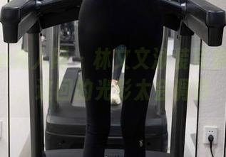 Xiuren秀人网 – 林文文泳装写真集更新，这回的光影太会调情