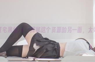 yoko夏宅黑丝JK：探秘这个资源的另一面，太好奇了！
