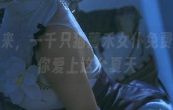 只要你来，一千只猫薄禾女仆免费图片让你爱上这个夏天