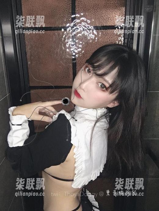 奇行家狗崽 图包里的秘密:看看奇行家狗崽如何描绘七三蓝护士的独特气质