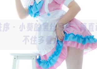 少女秩序 – 小葵的黑丝写真,简直让人忍不住多看几眼!