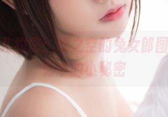 鳗鱼霏儿约您：缘之空的兔女郎图包，光影中的小秘密